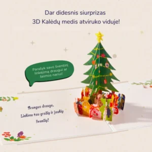 Mideer, Kalėdinė dėlionė pašto dėžutėje