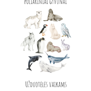„Poliarinė kelionė“ – užduotėlių rinkinys 2-4m vaikams