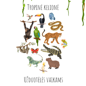 „Tropinė kelionė“ – užduotėlių rinkinys 2-4m vaikams